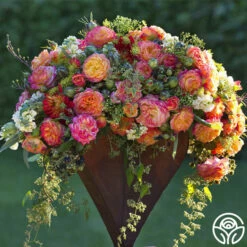 Garden Delight™ -HEIRLOOM ROSES Sales Garden Delight 11