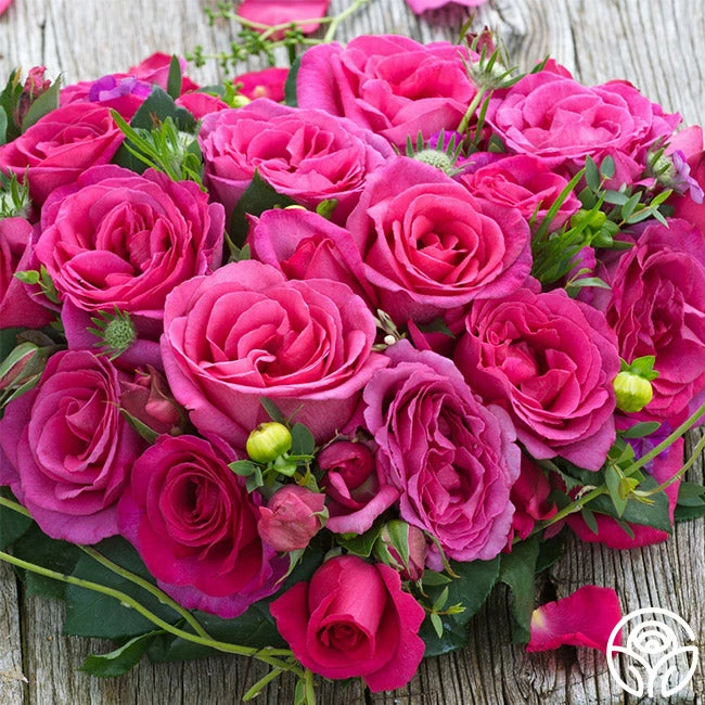 Buxom Beauty™ 4 Buxom Beauty™ - Image 2