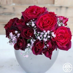 Parfuma® Dark Desire™ 10 Parfuma® Dark Desire™ -HEIRLOOM ROSES Sales dark desire 5 1