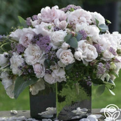 Parfuma® First Crush™ -HEIRLOOM ROSES Sales first crush 5 1