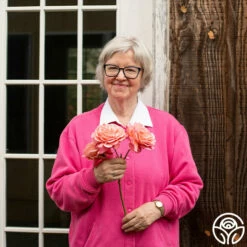 Reach For The Skies -HEIRLOOM ROSES Sales reach for the skies 10 1